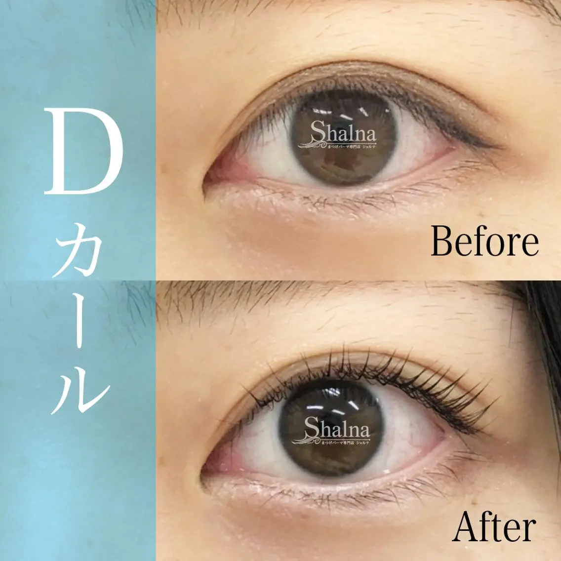 マツエク・マツパ Dカール まつげパーマ まつげパーマ専門店 シャルナ 新宿店のマツエク・マツパデザイン