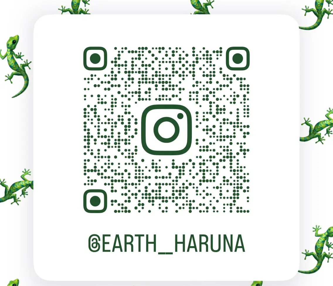 EARTH笛吹店 ハルナのネイルデザイン