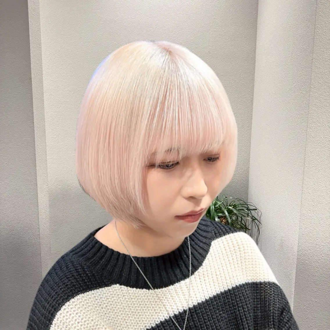 ショート カラー ブリーチ ケアブリーチ ハイトーンカラー シルバー ホワイトシルバー ヘアカラー ✨ブリーチ支持No1 複雑履歴修正/舘岡のヘアスタイル
