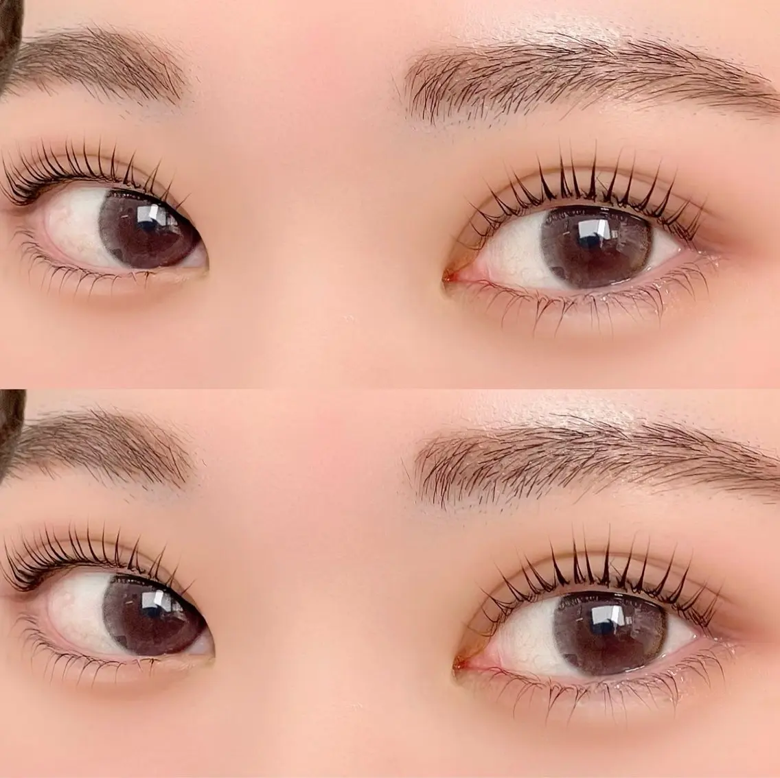 まつ毛パーマ💖(上)アイシャンプー付き🫧の写真