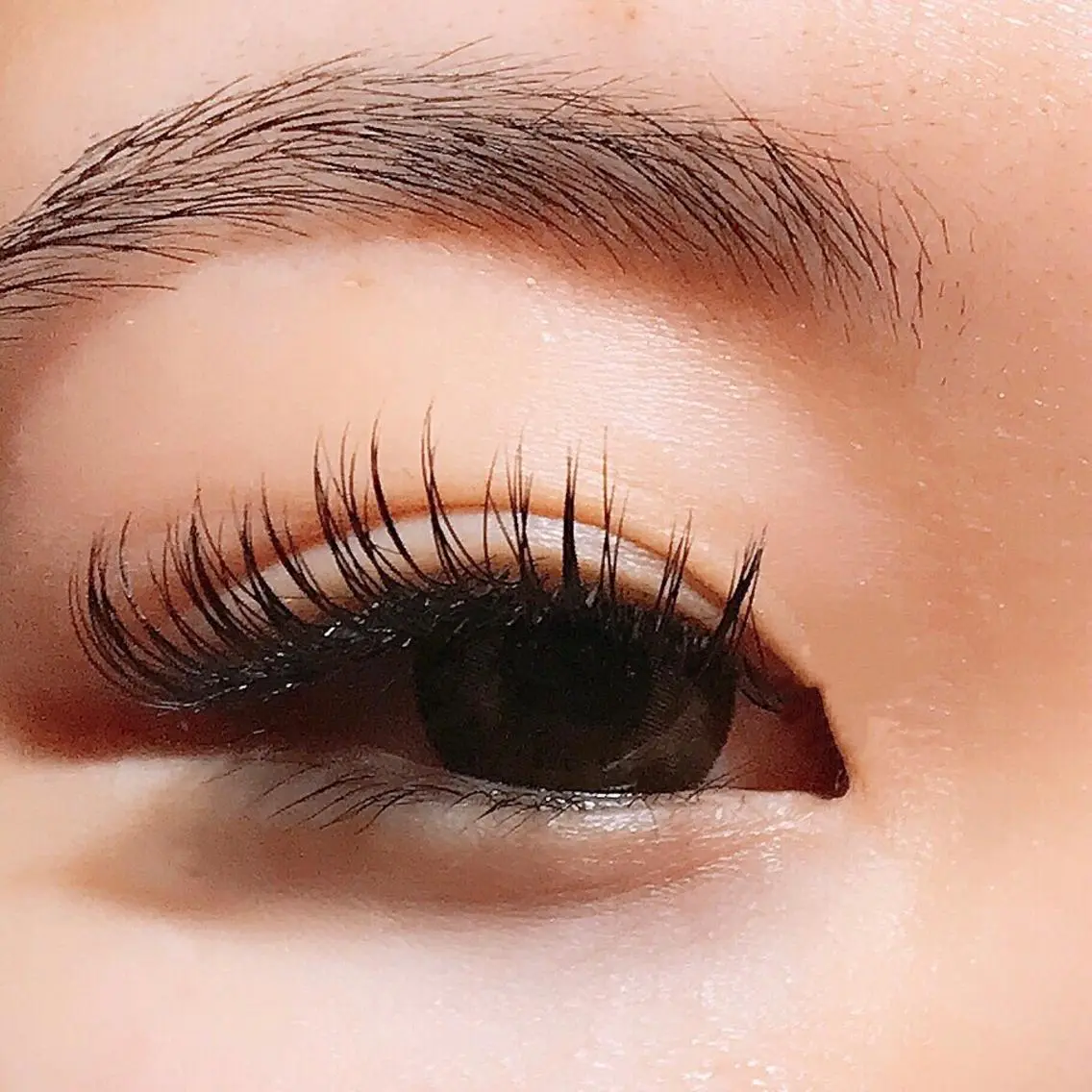 マツエク・マツパ Cカール Neale.♡ ROLA京橋のマツエク・マツパデザイン