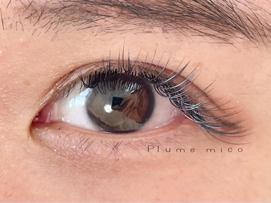 マツエク・マツパ マツエク Plume micoのマツエク・マツパデザイン
