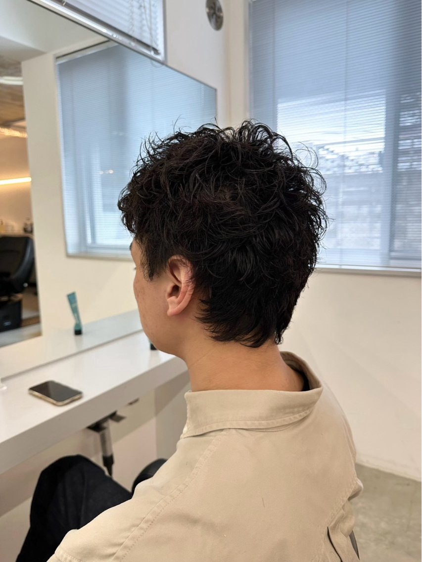 メンズ メンズパーマ 坂本康之介／パーマ &カラーモデル募集中のヘアスタイル