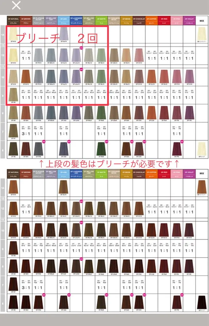 🉐カラー【お勧め】の写真