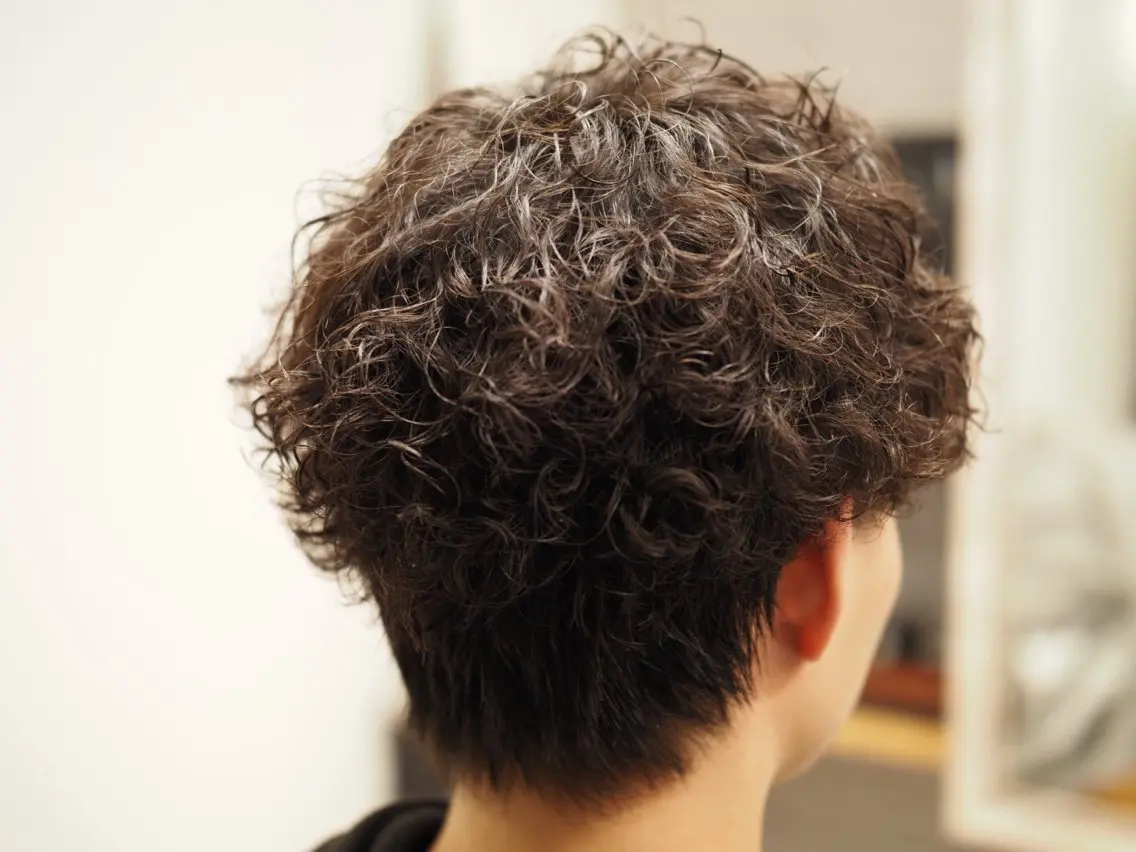 パーマ メンズ カット パーマ メンズ特化/パーマ/ フェードWATARUのヘアスタイル