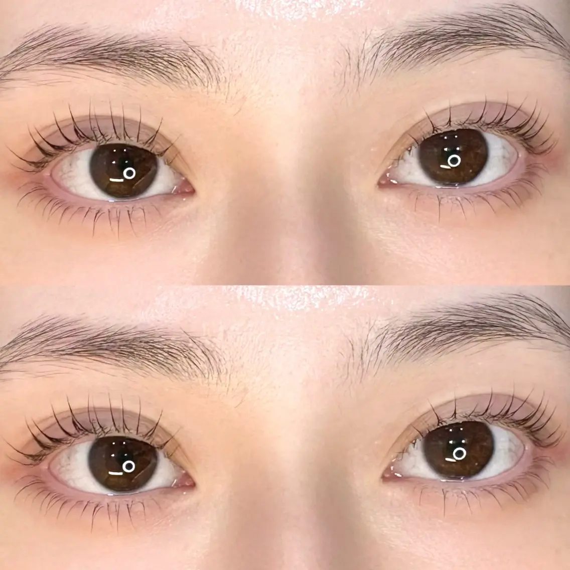 《ケラチントリートメント付き💠》🎀ラッシュリフト上下🎀の写真