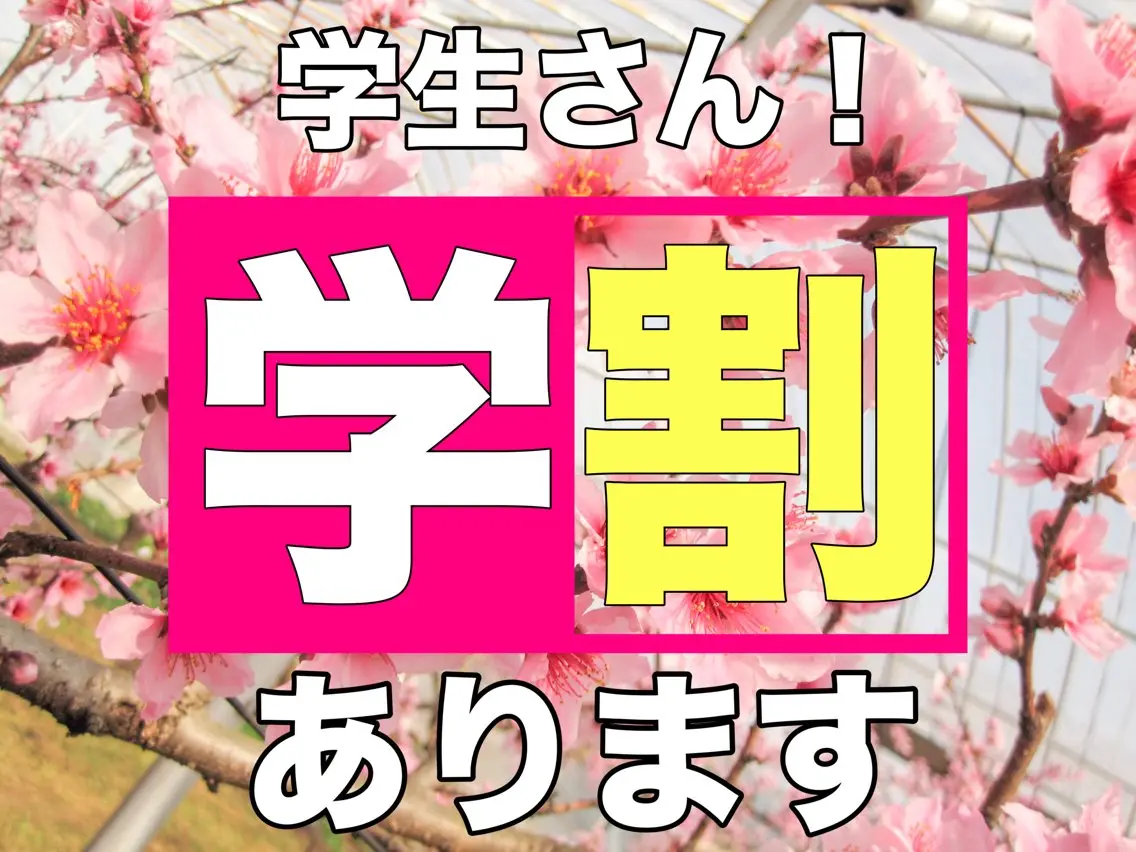 ネイル メンズ歓迎🙆♀️ エステ/ネイルISTのネイルデザイン