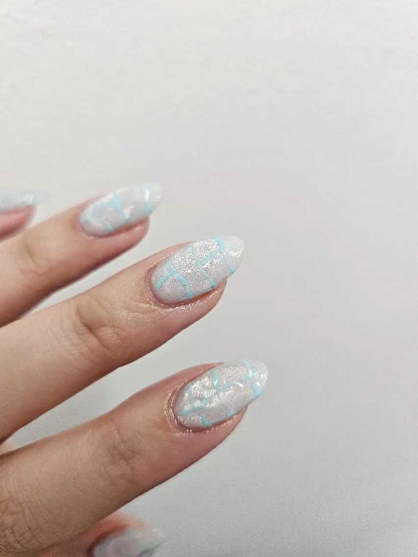 ネイル ジェルネイル マグネットネイル パラジェル 夏ネイル puku nail 🌼kazu🌼のネイルデザイン