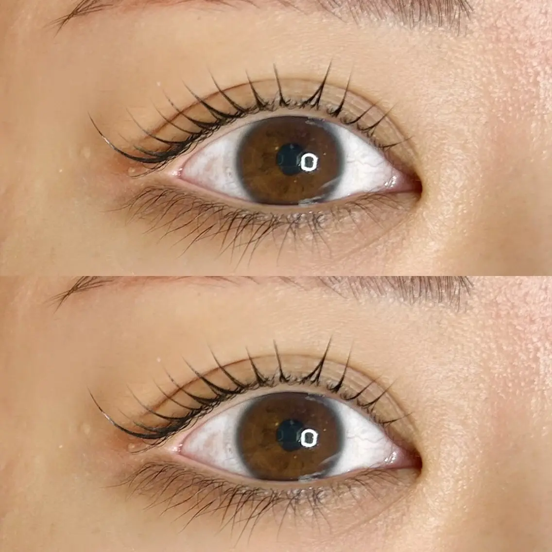 マツエク・マツパ Roy's lash ♡　AYAのマツエク・マツパデザイン