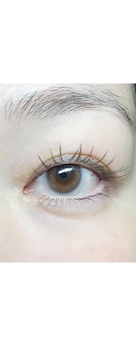 マツエク・マツパ マツエク Natural  take.のマツエク・マツパデザイン