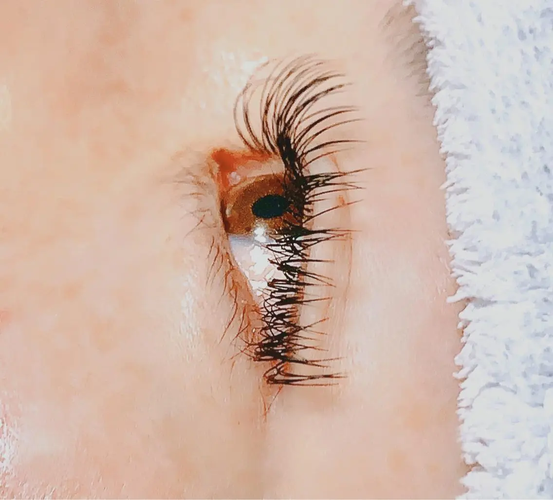 マツエク・マツパ Dカール アップワードラッシュ Eyelash Nappのマツエク・マツパデザイン