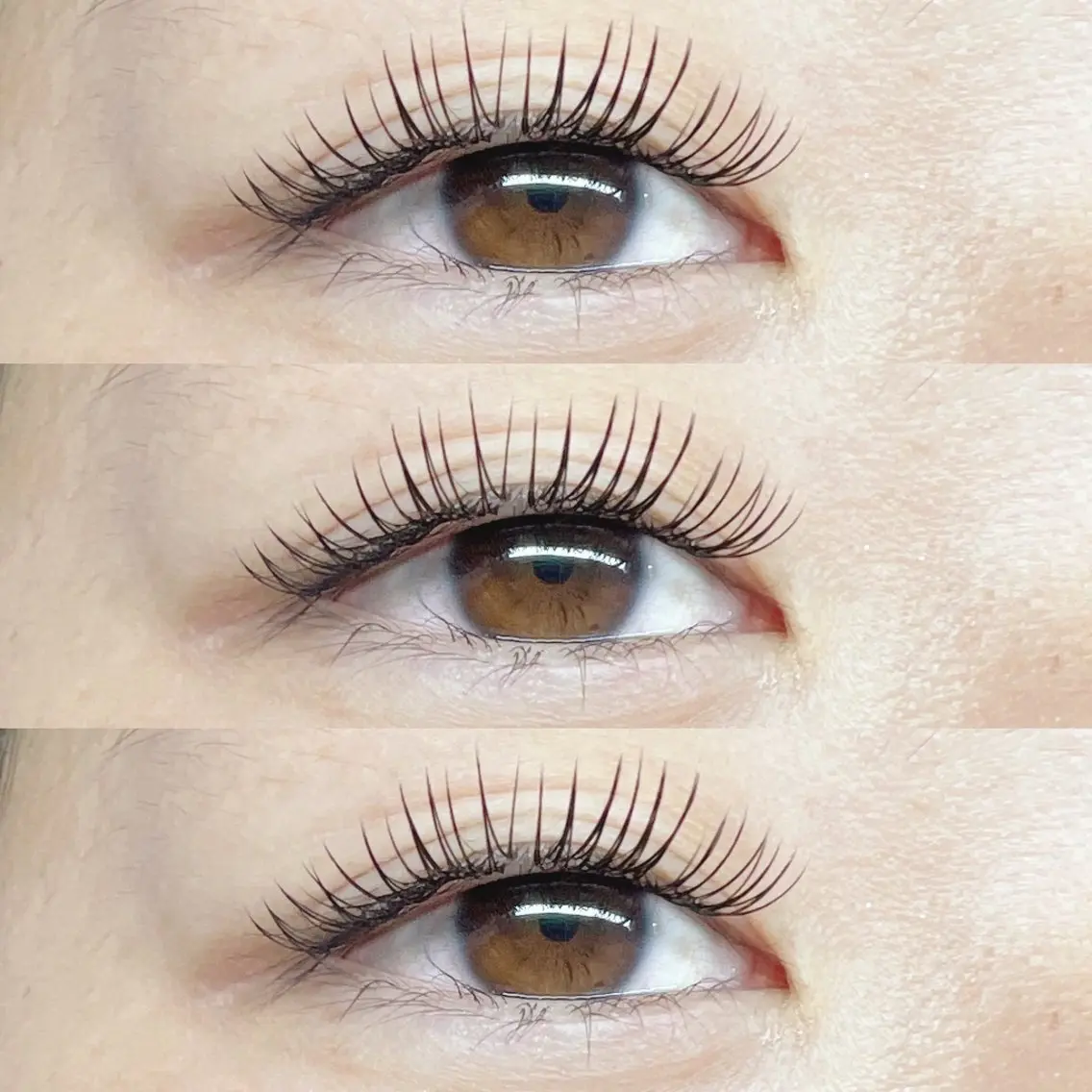 マツエク・マツパ マツエク Eyelash Hauoliの眉毛・アイブロウイメージ