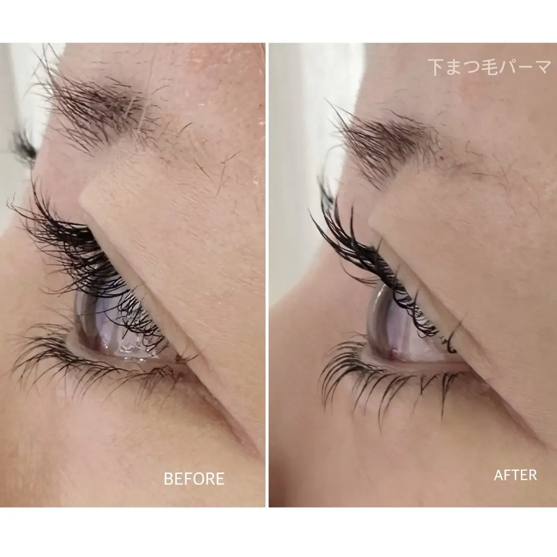 マツエク・マツパ 下まつげエクステ 一重×まつ毛パーマ eyelash classicのマツエク・マツパデザイン