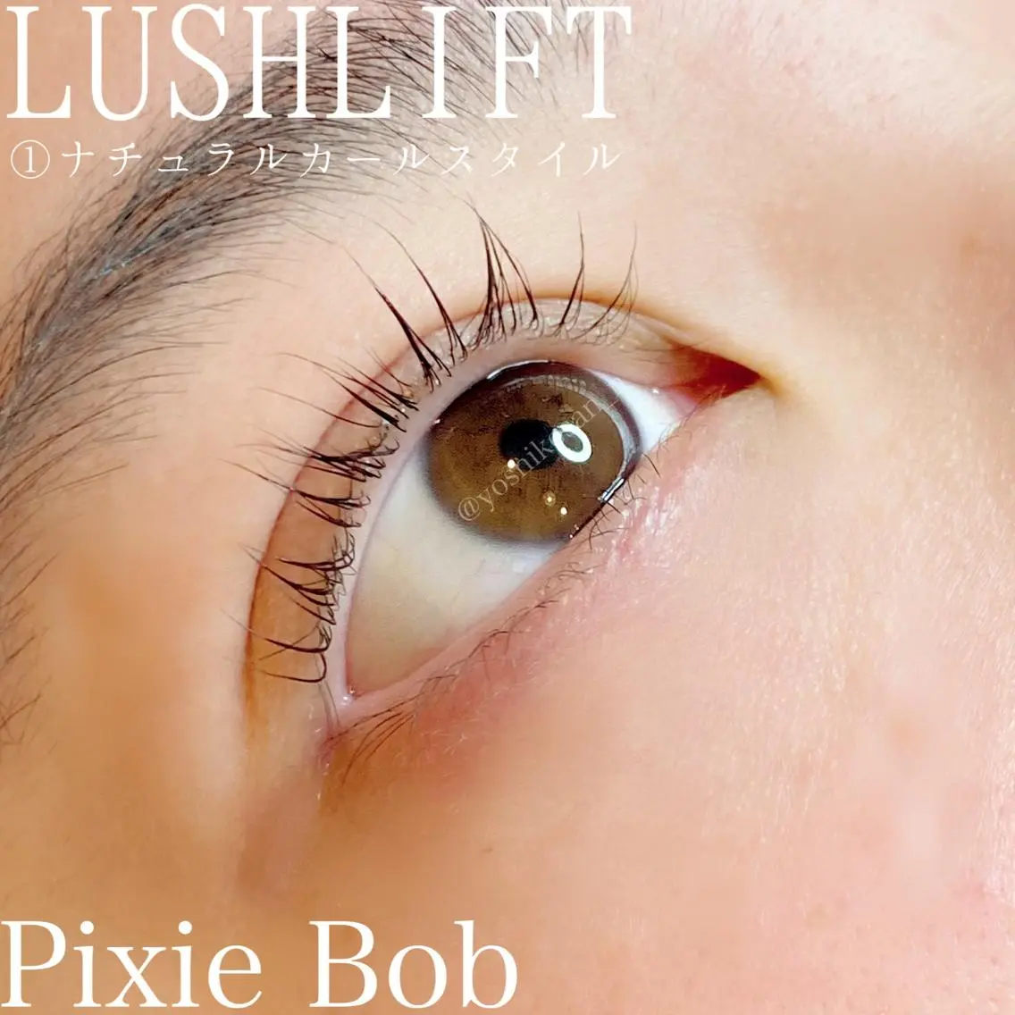 マツエク・マツパ ナチュラル 一重×まつ毛パーマ マツパ Pixie Bob 🐈‍⬛　位田のマツエク・マツパデザイン