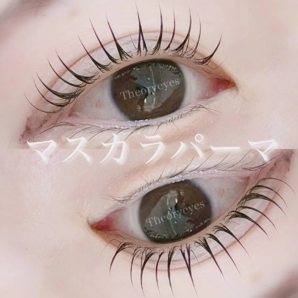 🌟マスカラパーマ🌟ブラックティントまつげパーマの写真