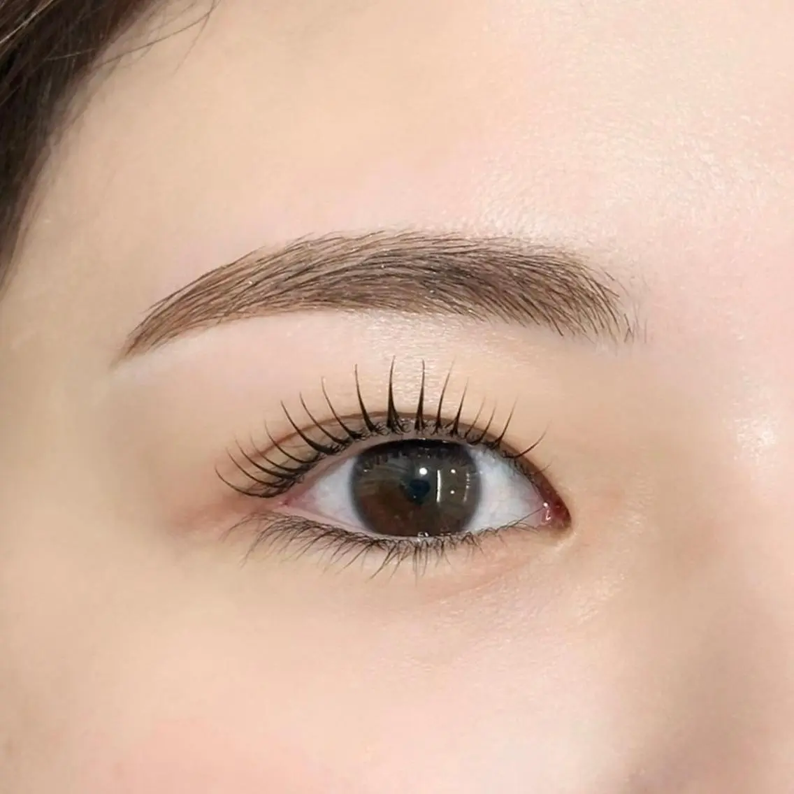 特別価格まつげパーマ＋眉ワックスセットの写真