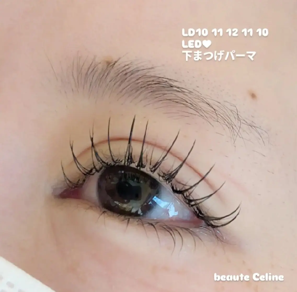 マツエク・マツパ マツエク LED✨beaute Celine🌛🌹のマツエク・マツパデザイン