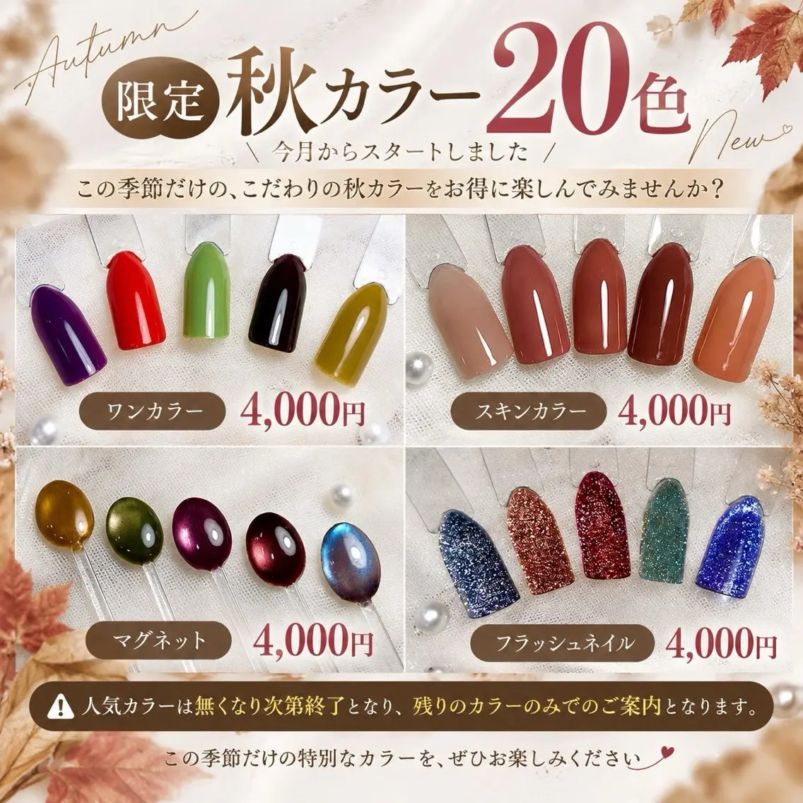 🌿フィルイン無料🌿マグネット秋カラー5種の写真