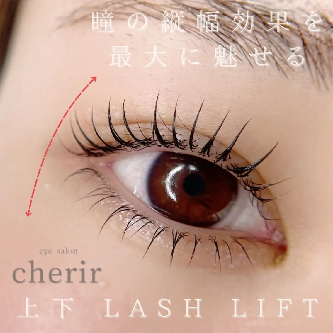 上下 Lash Lift ✨高濃度トリート込み✨の写真