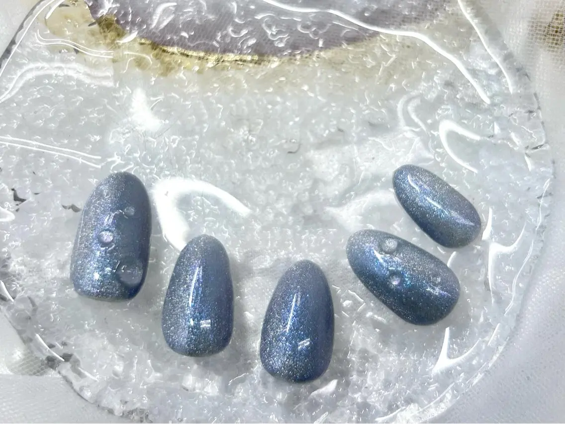 ネイル アートネイル ジェルネイル マグネットネイル ニュアンスネイル パラジェル Nail Neige🐈🌙のネイルデザイン