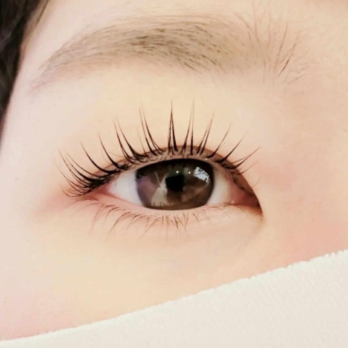🆕次世代まつ毛パーマ上下🌿5月平日限定メニュー 6300円【Lash Lift】【上下まつパ】の写真
