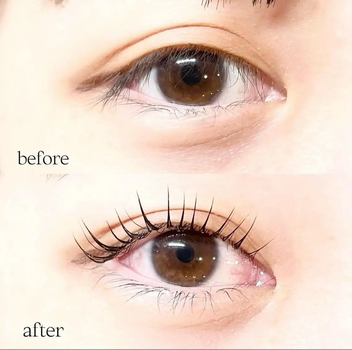 マツエク・マツパ マツパ eyelash .sakuraのマツエク・マツパデザイン