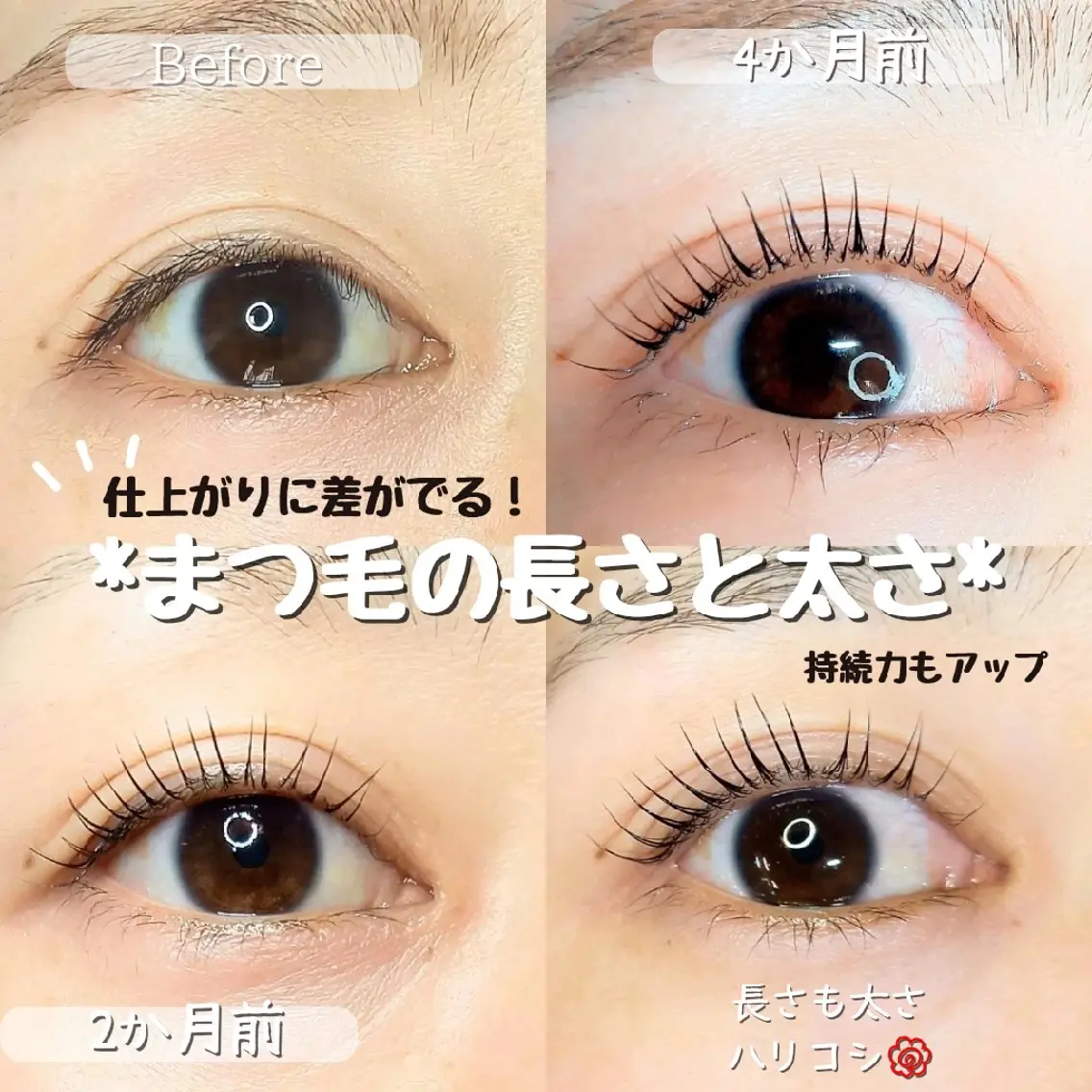 マツエク・マツパ 一重×まつ毛パーマ マツパ meer  (メーア)のマツエク・マツパデザイン
