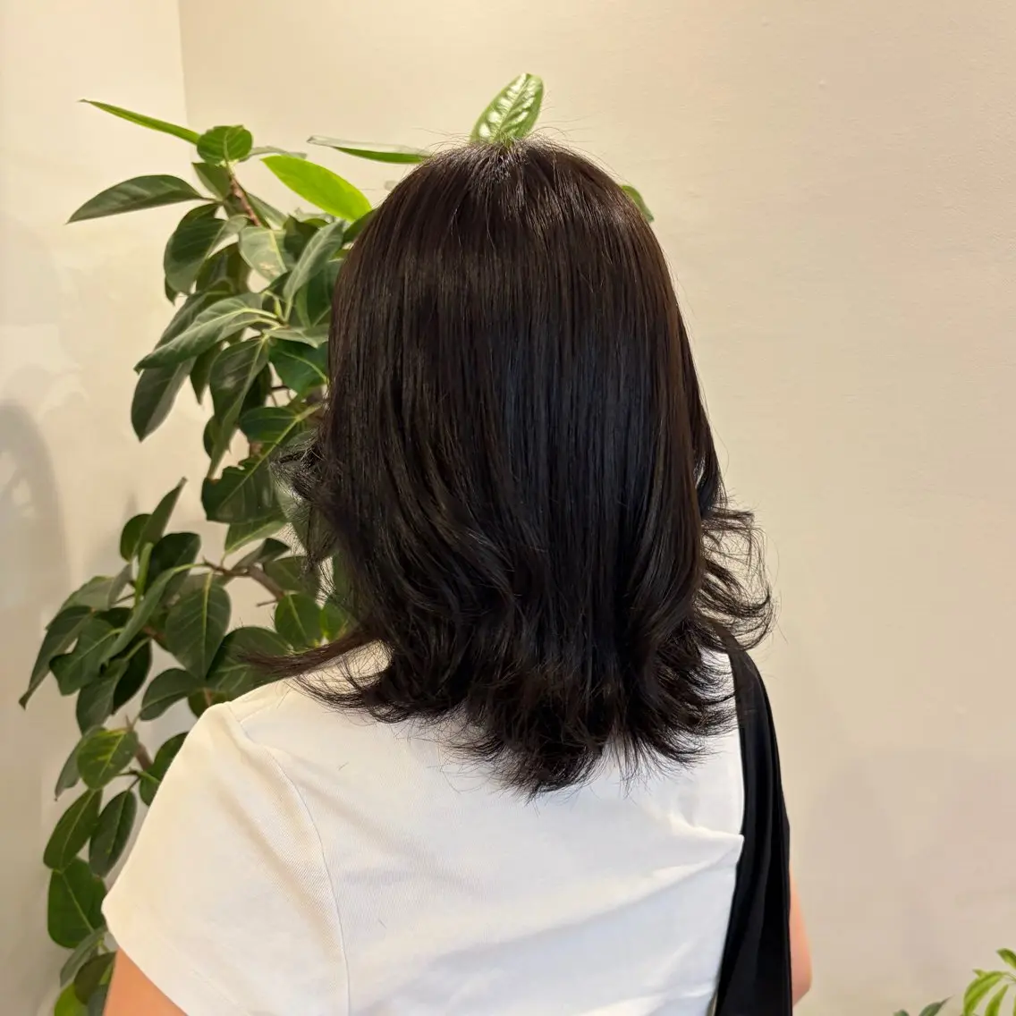 カラー ヘアカラー トリートメント FILMS / nagiのヘアスタイル