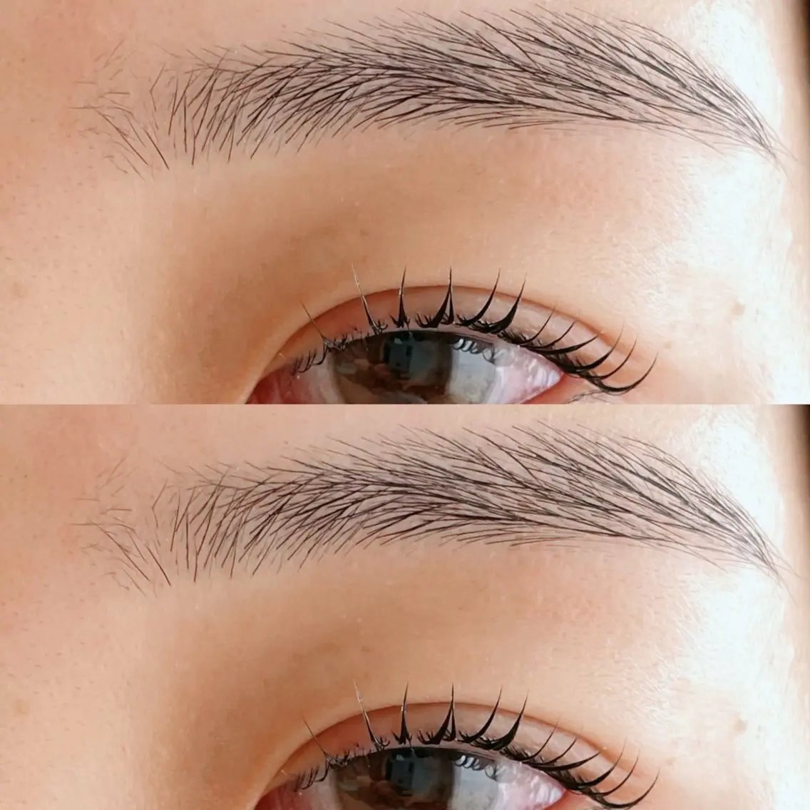 アイブロウ UNI BROW Mayukaの眉毛・アイブロウイメージ