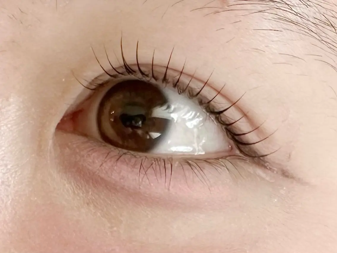 【マツパ👀⭐️】アイシャンプー、コーティング付きの写真