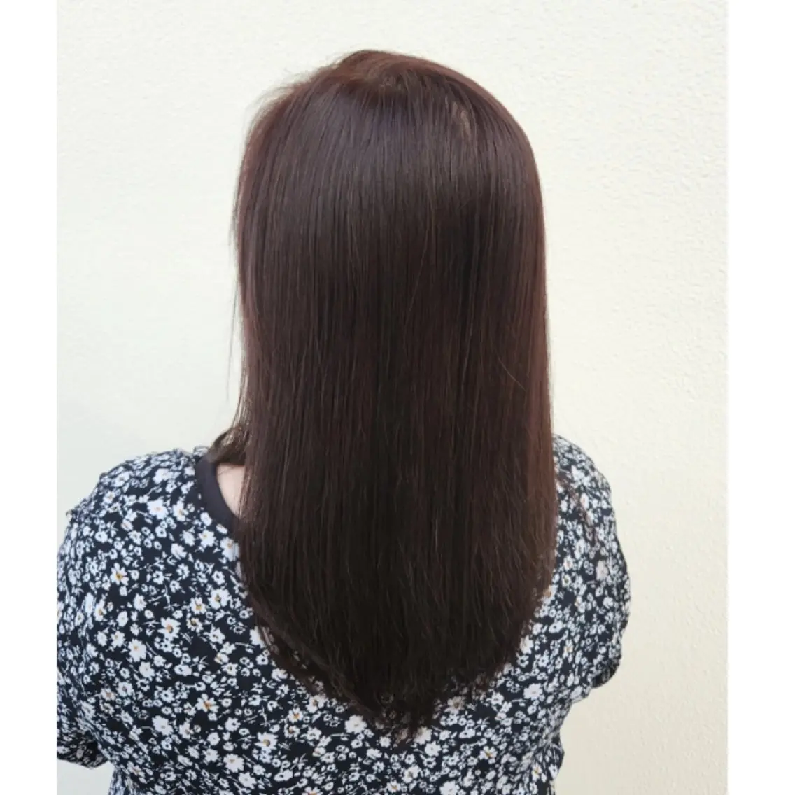 カラー くまだ あかねฅ🐶🐾のヘアスタイル