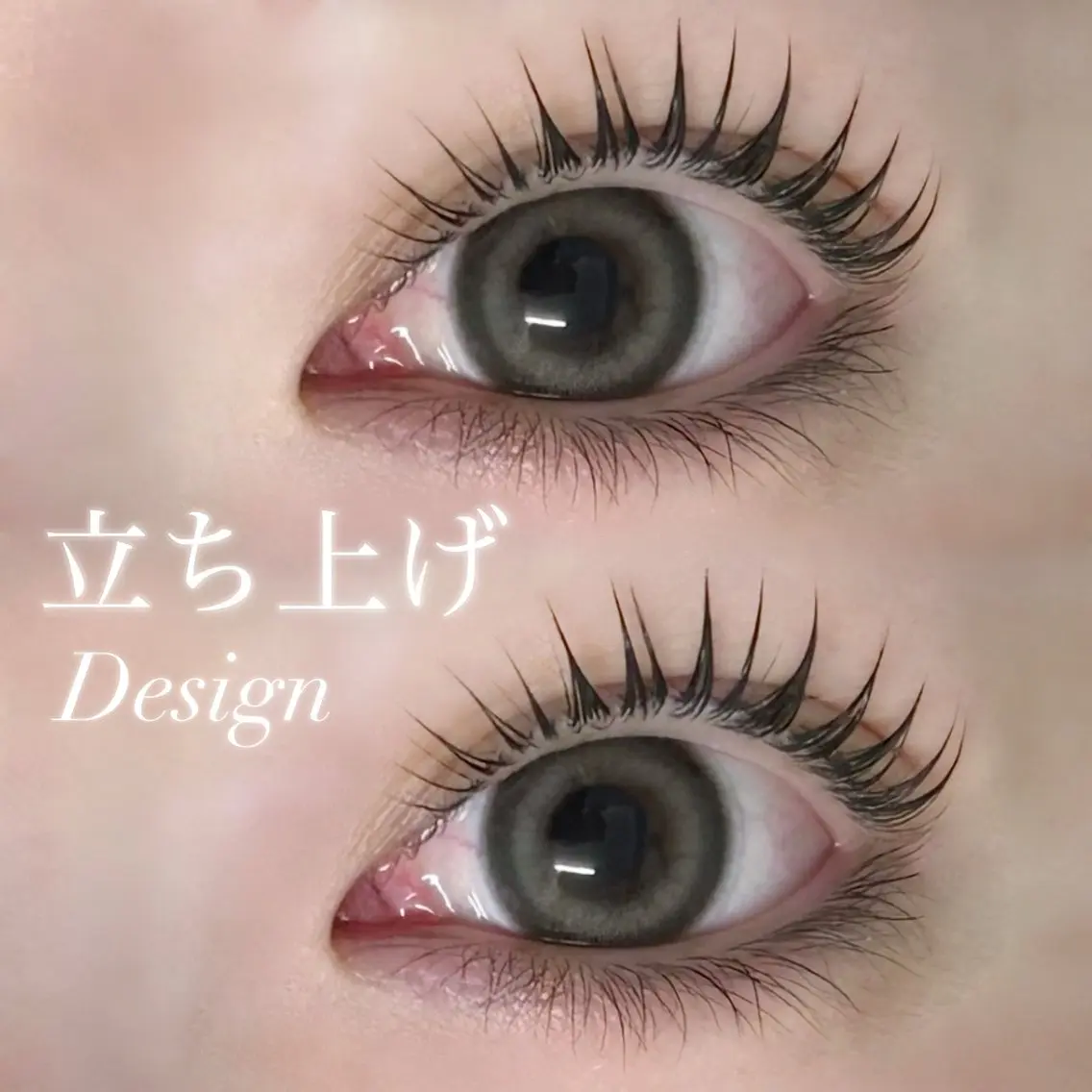 マツエク・マツパ SSIN 渋谷 fumikaの眉毛・アイブロウイメージ
