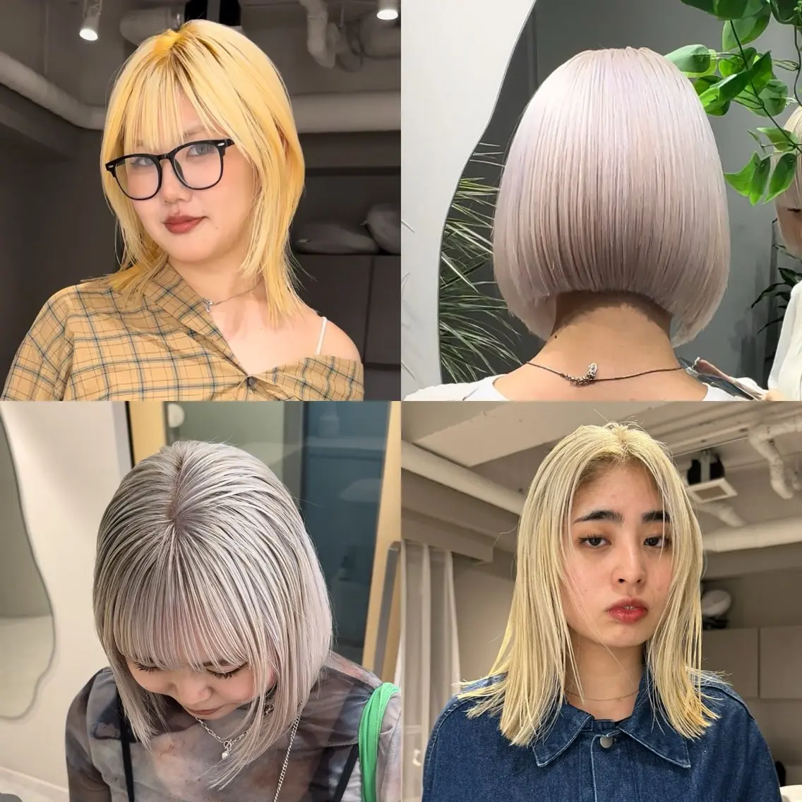 2ケアブリーチ＋トリートメント、ブリーチ、ダブルブリーチの写真