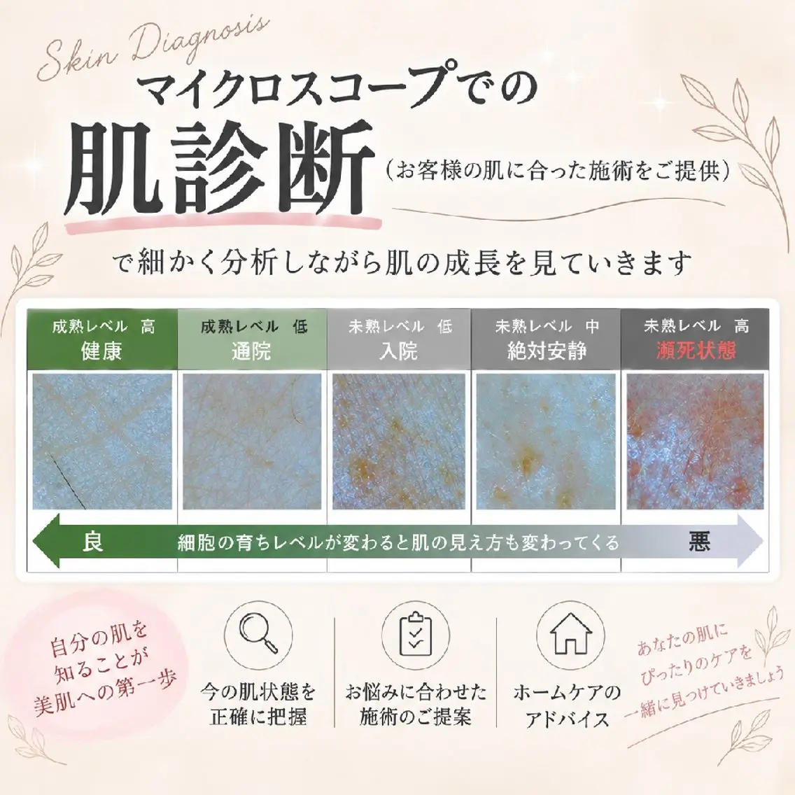 sii MIUのその他イメージ
