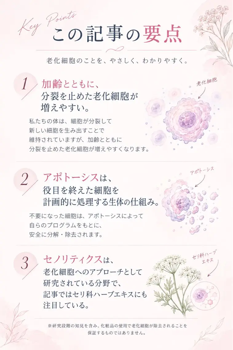 🅖🅤🅩🅔🅛 salonのエステ・リラクイメージ