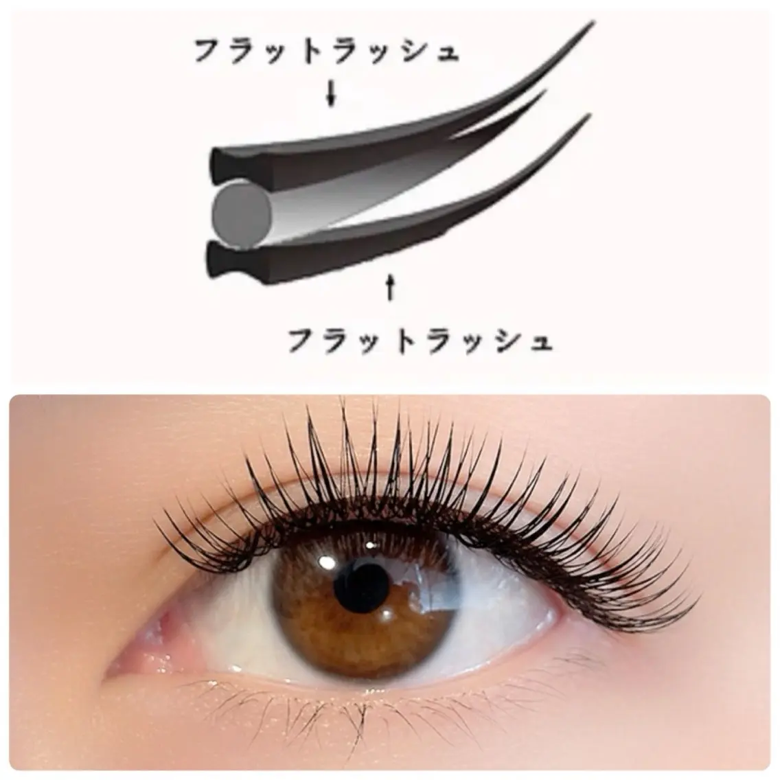 マツエク・マツパ フラットラッシュ asami ⋆𐙚₊⊹のマツエク・マツパデザイン