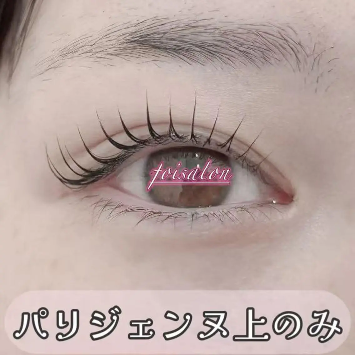 マツエク・マツパ 束感まつ毛 フラットラッシュ パリジェンヌラッシュリフト ワンホンマツエク マツパ foisalon 大久保店のマツエク・マツパデザイン