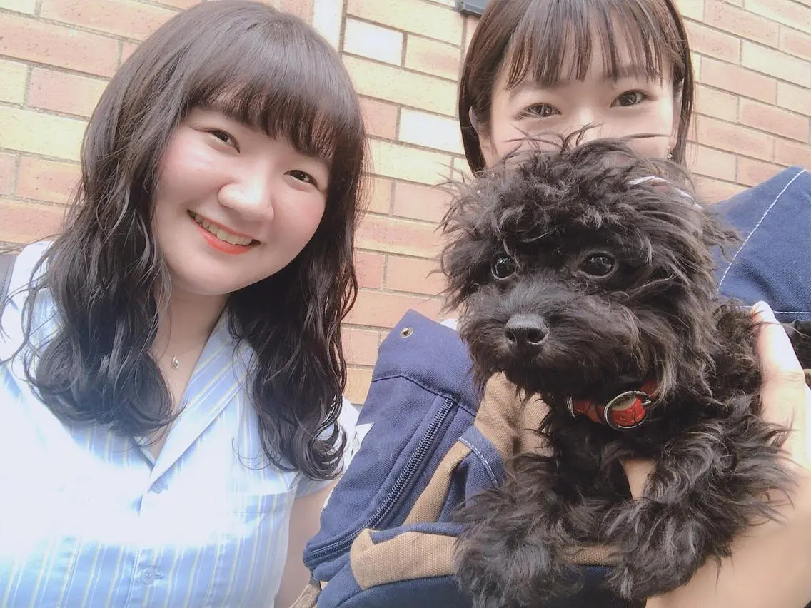 セミロング カラー パーマ ヘアアレンジ カット ヘアカラー ちこ .のヘアスタイル