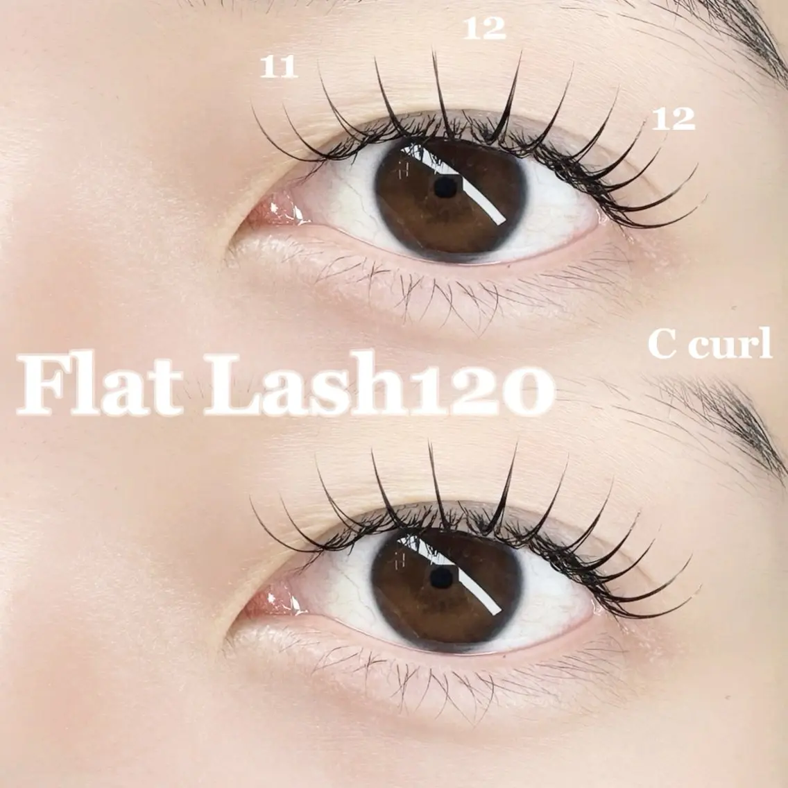 【ミニモ限定】フラットラッシュ140本🎀✨の写真