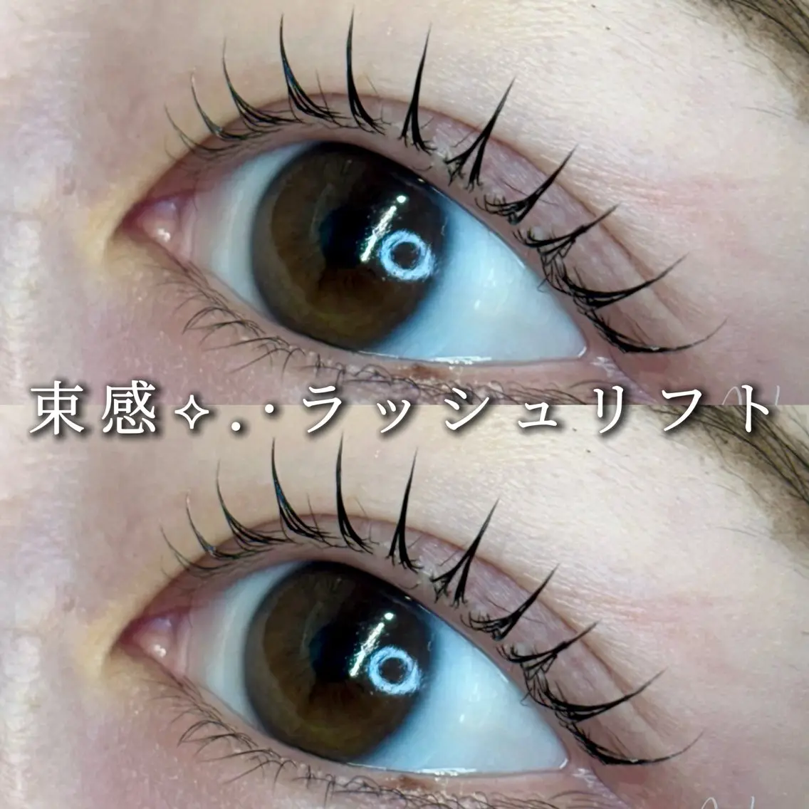 ⭐️平日限定⭐️超お得⟡.·束感パリor束感ラッシュリフト➕4stepトリートメント付き✨内部から修復🫧毛質改善✧︎の写真