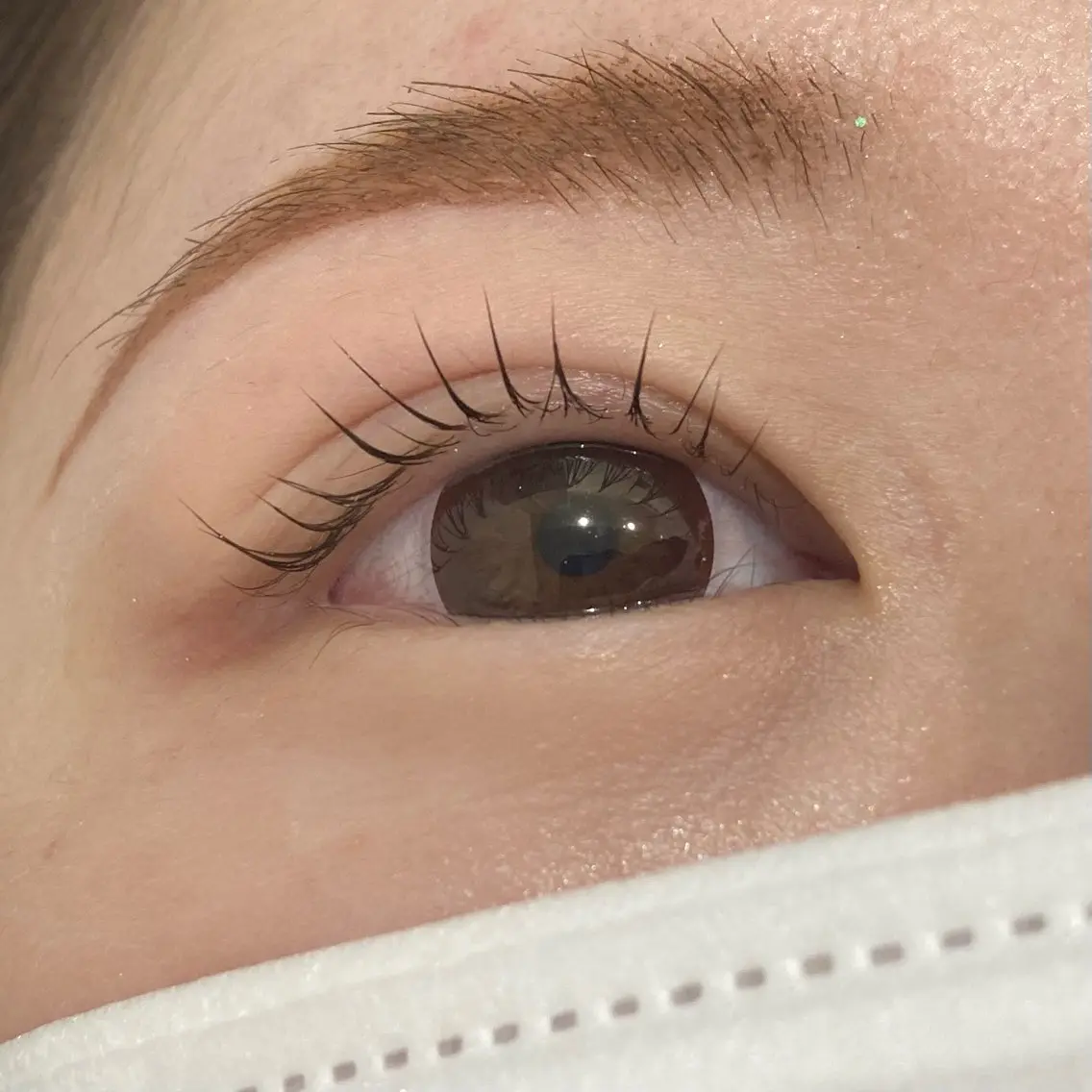 まつげパーマ👀✨パリジェンヌラッシュリフト(4900円)コーティング付き🧸トリートメント+300円の写真