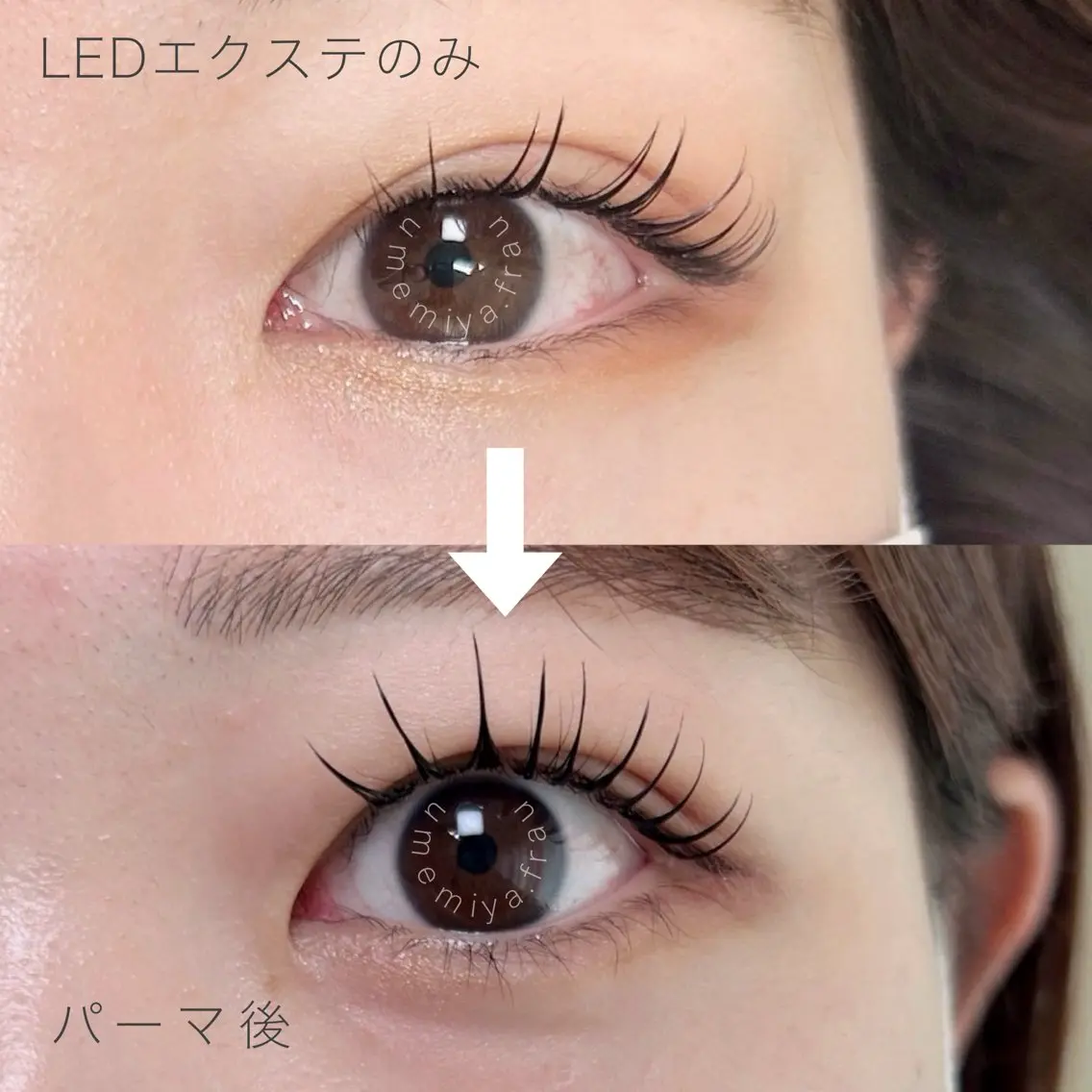 LEDエクステ100本＋ラッシュリフト🌿パリエクのような仕上がり✨オフ込みの写真