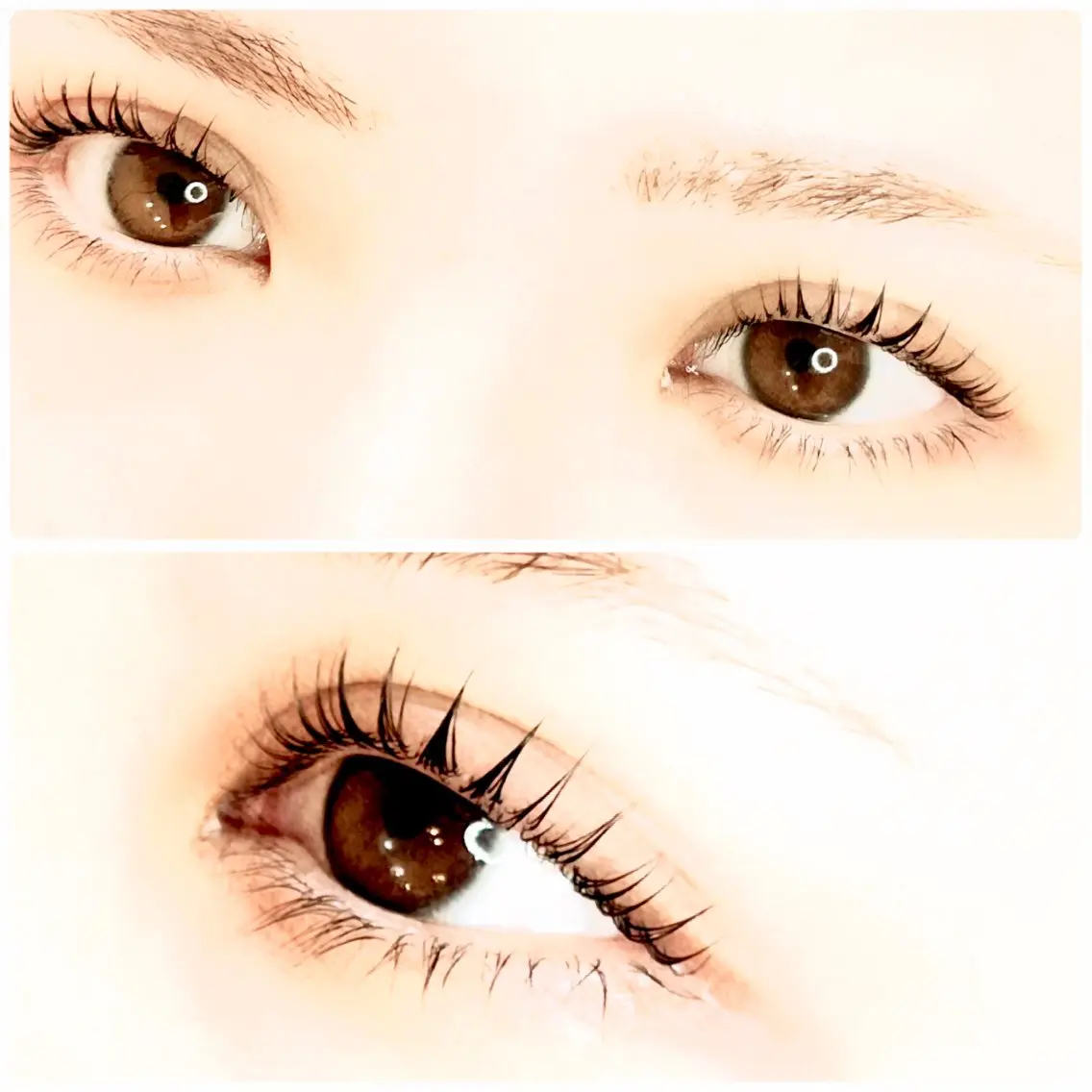マツエク・マツパ パリジェンヌラッシュリフト マツパ eyelashザクア アイリスト急募中!のマツエク・マツパデザイン