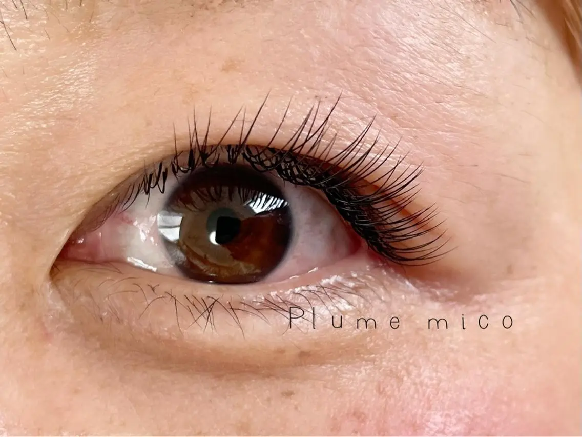 マツエク・マツパ マツエク Plume micoのマツエク・マツパデザイン