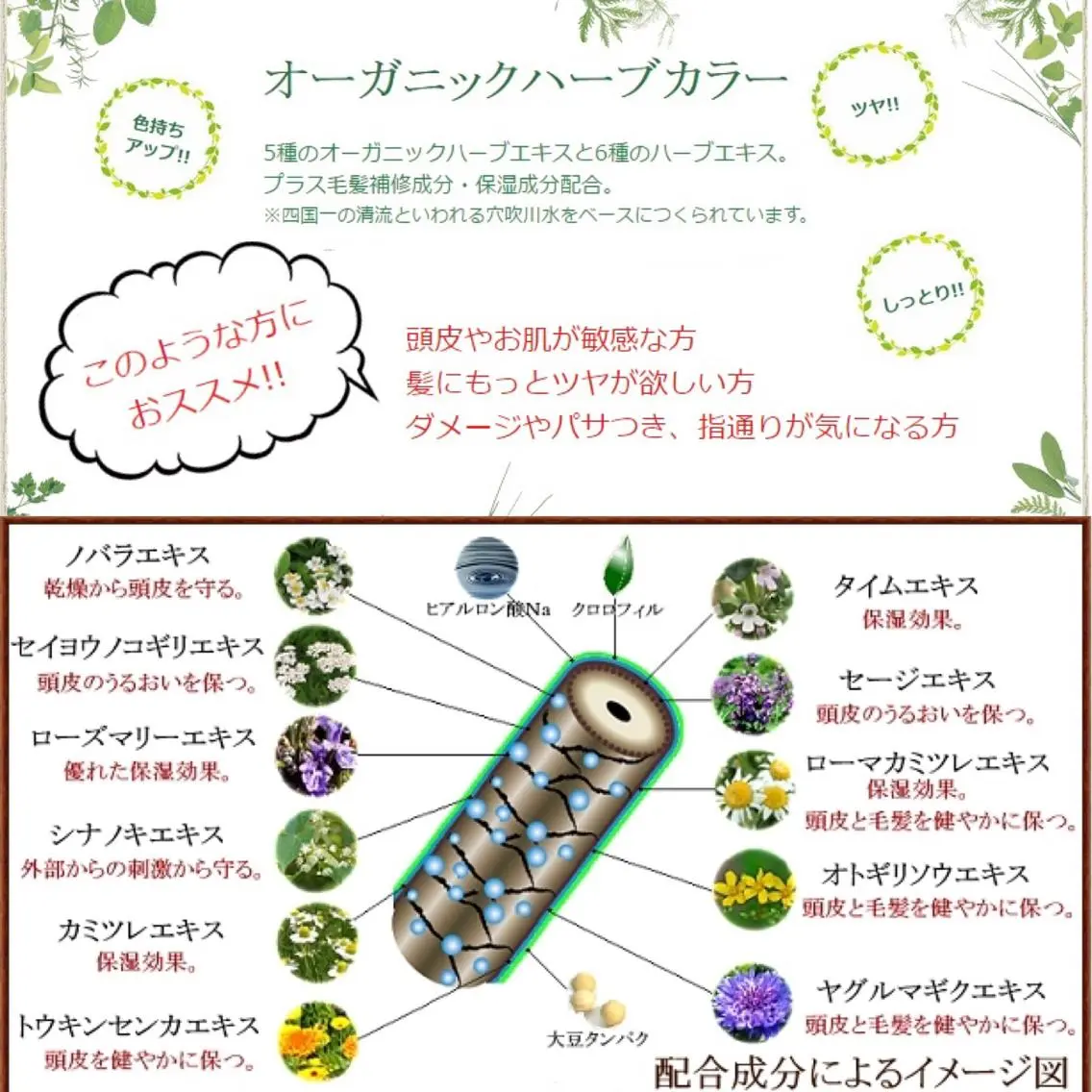カラー ヘアカラー エレガンス 六甲店のヘアスタイル