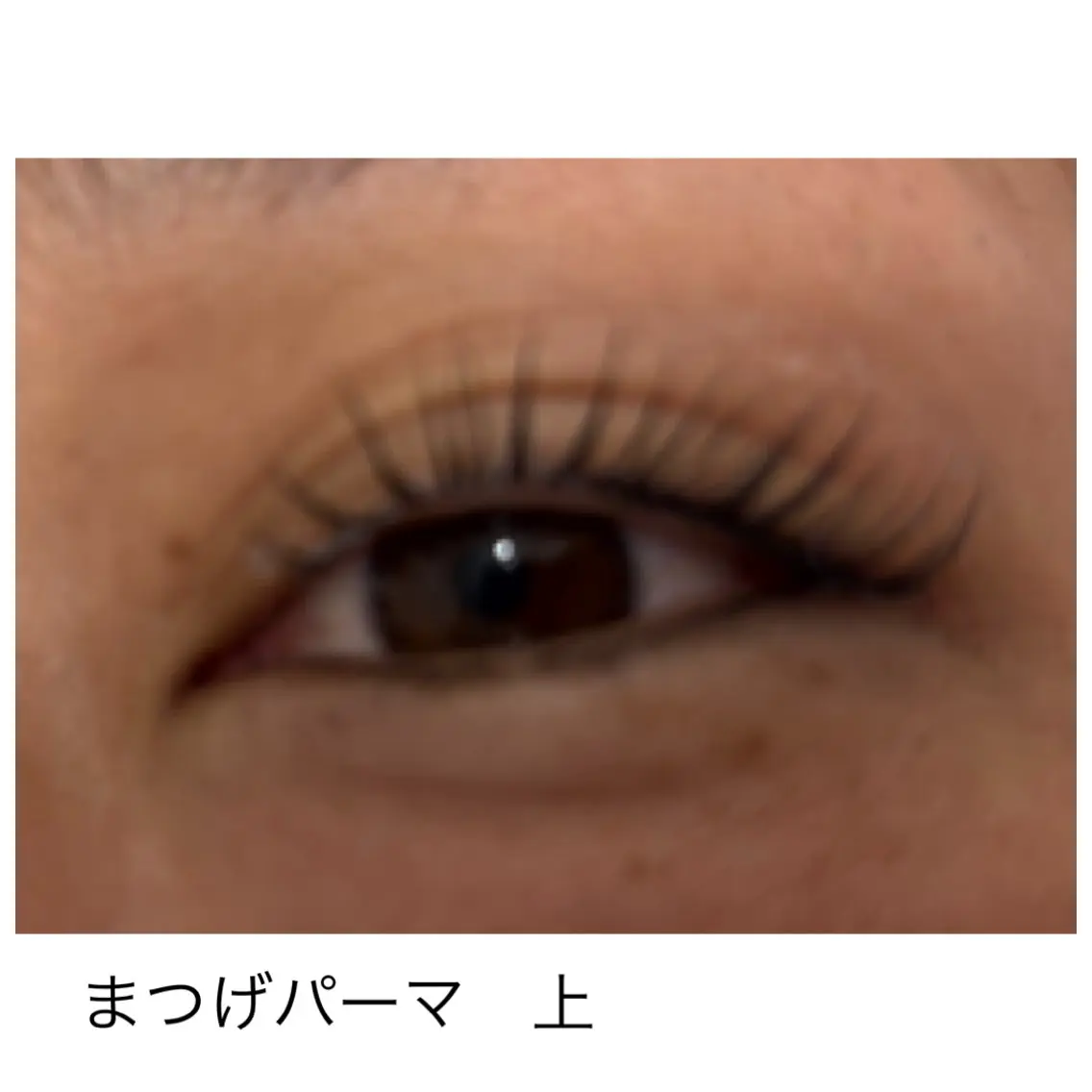 マツエク・マツパ Eclare LASHのマツエク・マツパデザイン