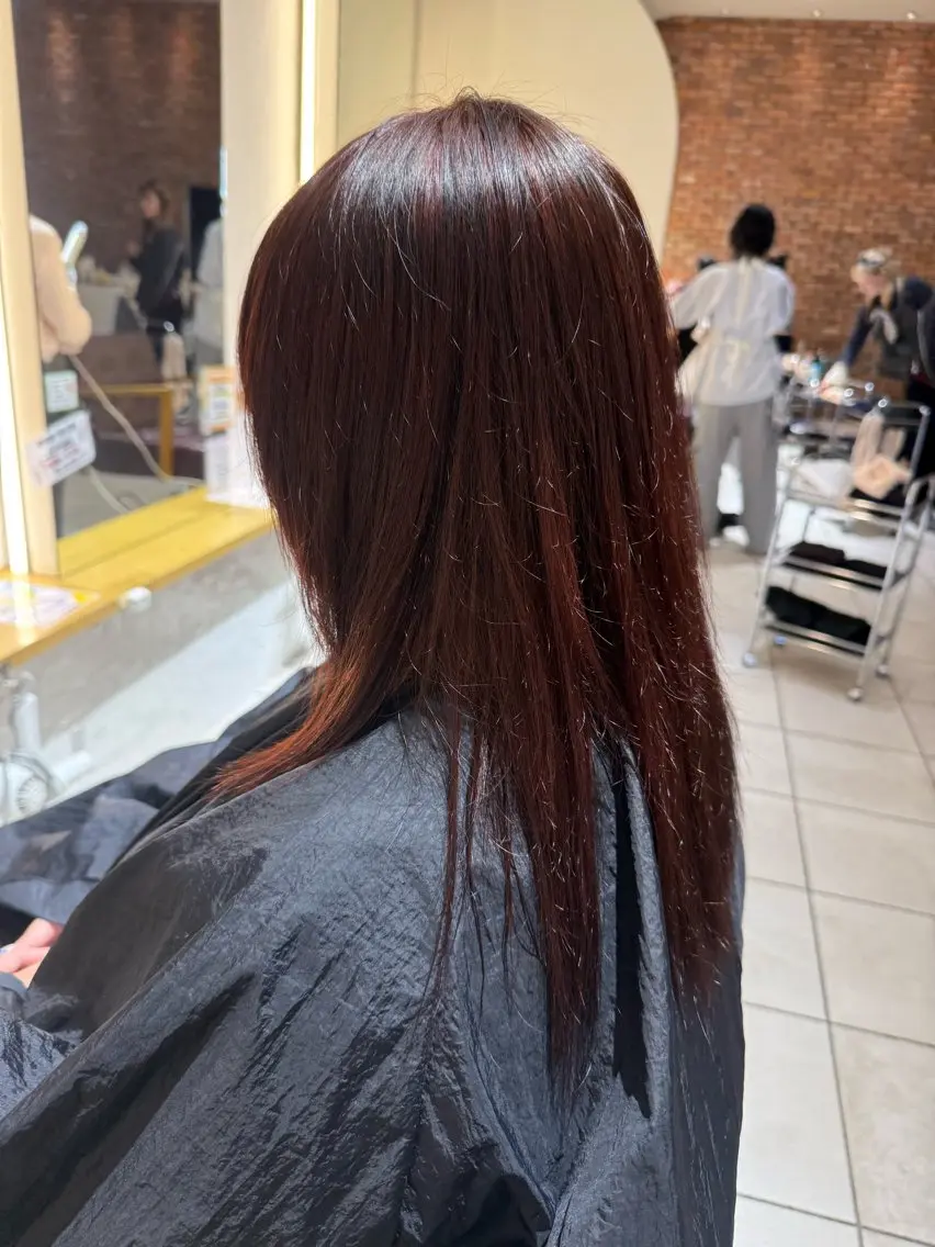 ロング カラー ブラウンカラー カシス ピンクカラー ピンクブラウン レッドカラー 前田 佑香のヘアスタイル