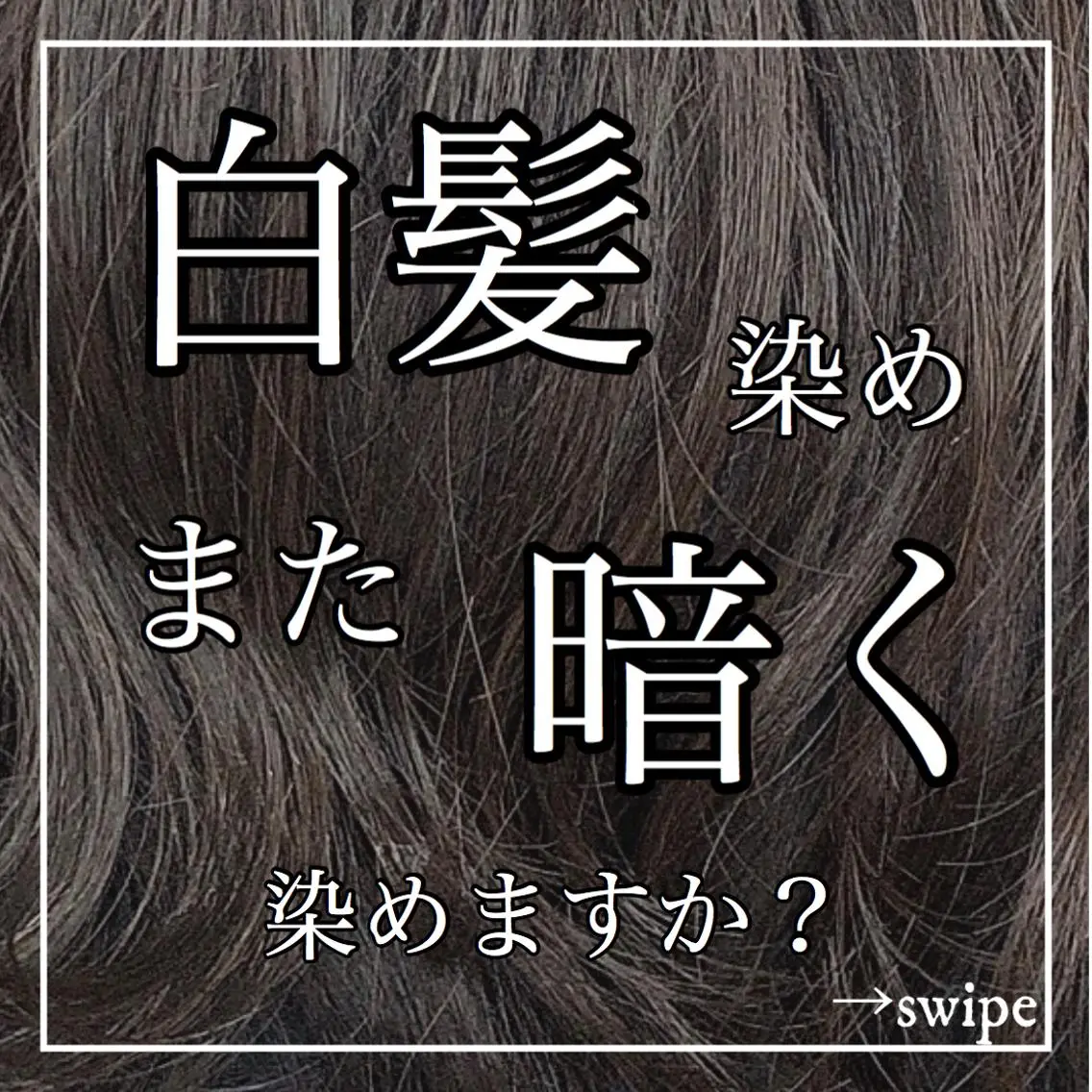 セミロング カラー ハイライトカラー ハイライト カット ヘアカラー トリートメント ✨似合うのその先へ✨ 田中延和のヘアスタイル