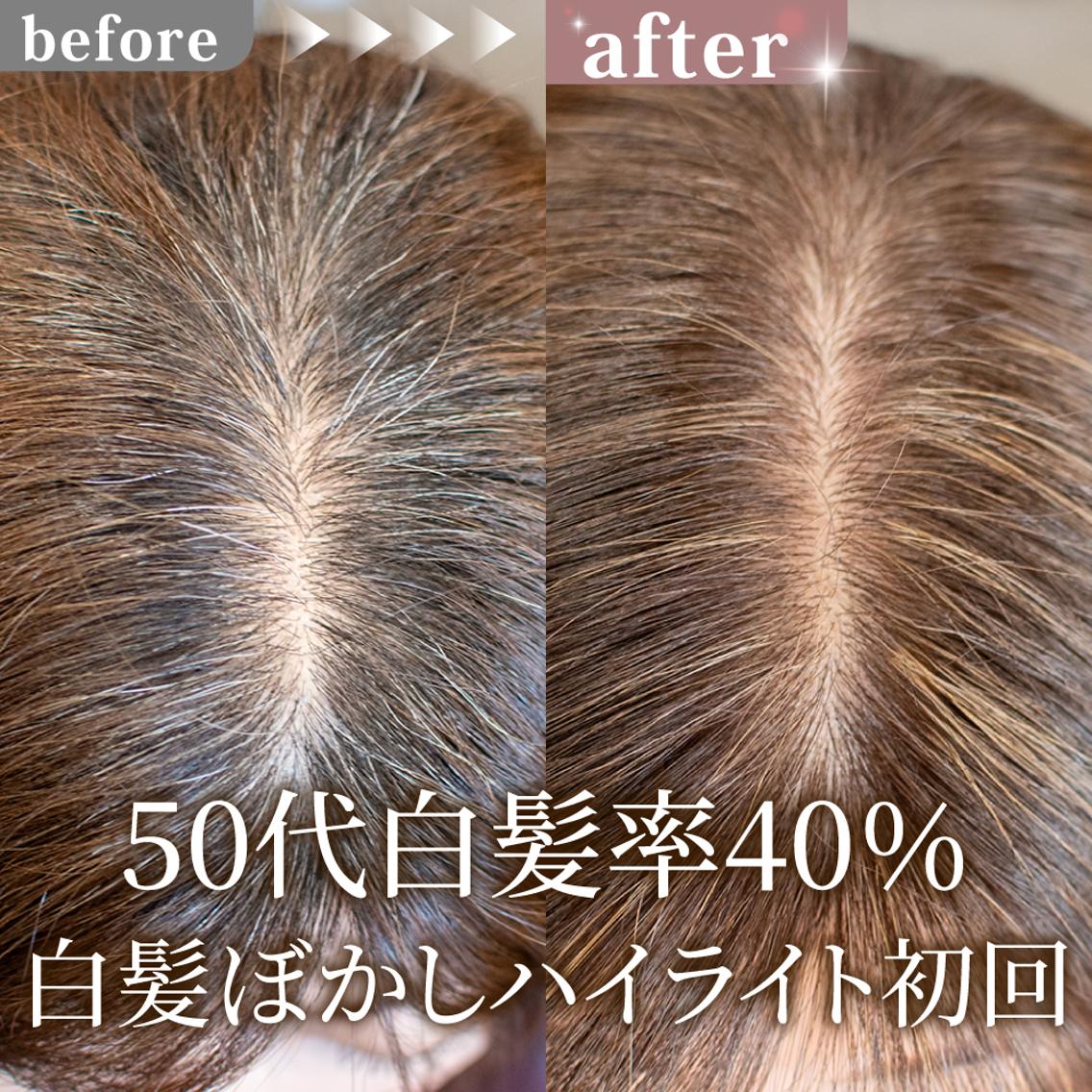 セミロング カラー ハイライトカラー ハイライト カット ヘアカラー トリートメント 白髪ぼかしハイライト 【亀有】山本のヘアスタイル