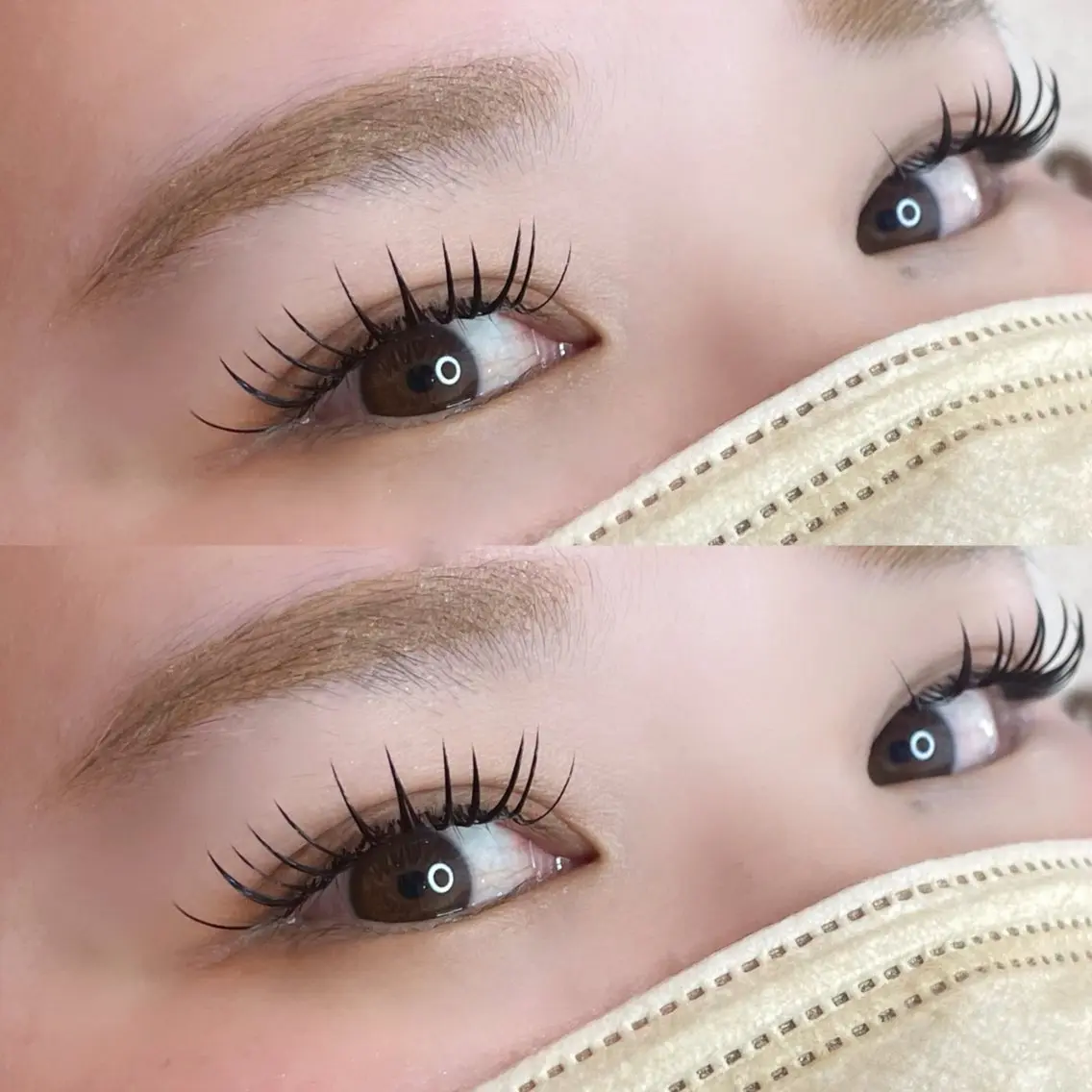 最高級フラットラッシュ 100本の写真